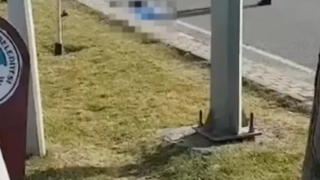 Karşıdan karşıya geçmeye çalışırken yaşamının yitirdi