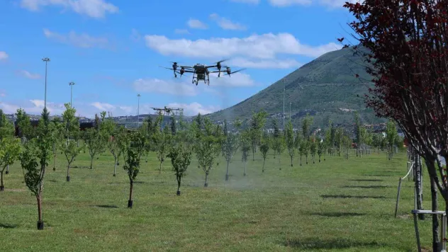 Park ve mesire alanlarına drone ile ilaçlama