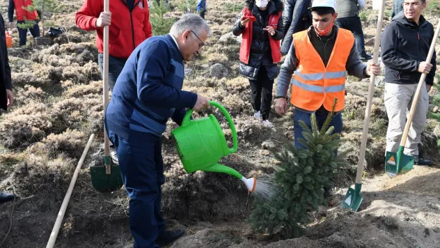 Kayseri'de 38 bin fidan daha toprakla buluşuyor