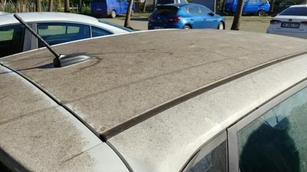 Kayseri'de Çam Ağaçlarından Damlayan Reçineler Araçlara Zarar Veriyor