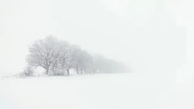 Kayseri'de hafta sonu: Kar yağışlı ve sisli