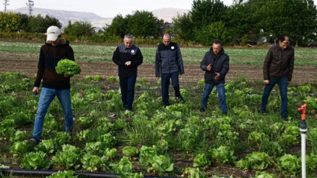 Kayseri'de ilk kez 'ıceberg marul' ekildi