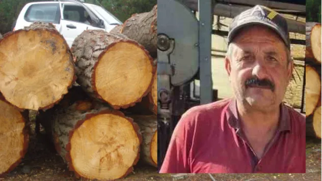 Kayseri'de İş Kazası: Tomruk Altında Kalan İşçi Hayatını Kaybetti