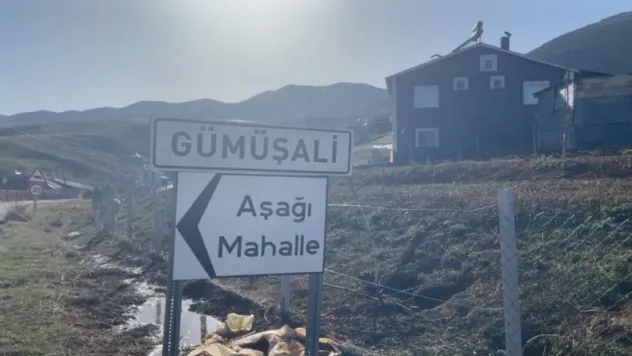 Kayseri'de Korkunç Olay! Çoban köpekleri yaşlı adamı öldürdü