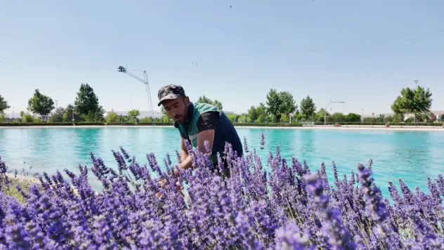 Kayseri'de Lavanta Bahçeleri ile Doğal Güzellikler ve Ürünler