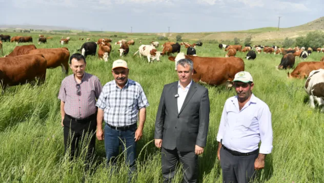 Kayseri'de Mera Islah Projesi ile Büyükbaş Hayvan Üreticilerine Destek