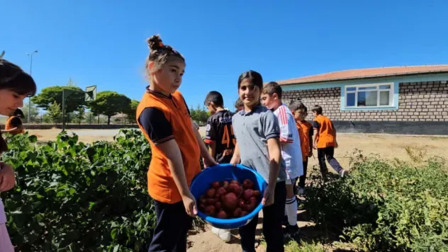 Kayseri'de öğrenciler kendi meyvelerini yetiştiriyor