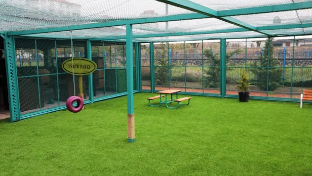 Kayseri'de sokak hayvanları için sıcak yuva: Kedi Kasabası