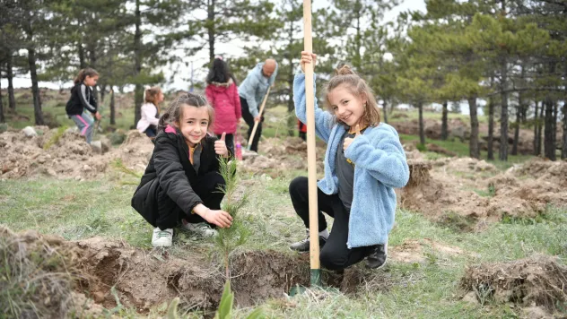 Kayseri'de Son 6 Yılda 750 bin fidan toprakla buluştu