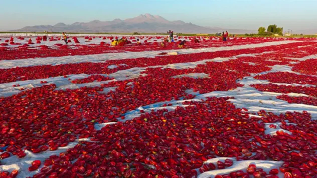 Kayseri'den kurutulmuş domates ihracatı
