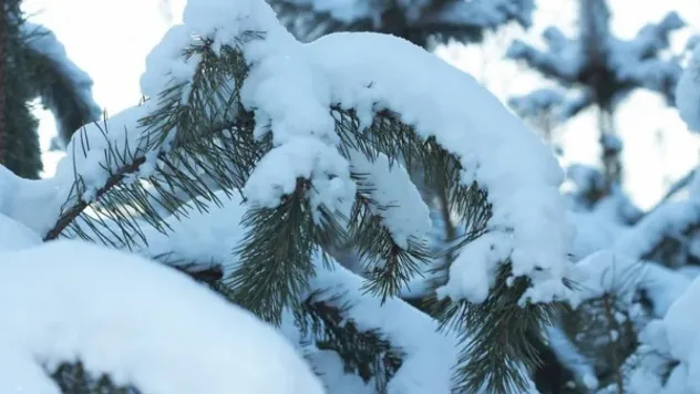Kayseri, hafta içi soğuk ve kar yağışlı