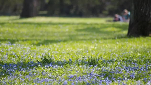Kayseri hafta sonu hava tahmini