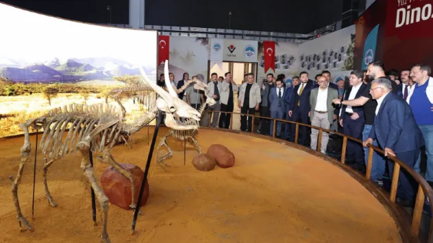 Kayseri'nin 7,5 Milyon Yıllık Fosilleri İlgi Odağı