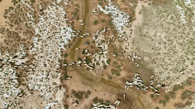 Kayseri'nin Saklı Cenneti: Burayı Gören büyüleniyor!