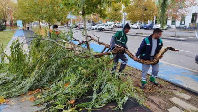 Kayseri Valiliği'nden 'fırtına' uyarısı