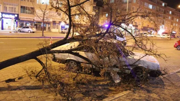 Kayseri'ye fırtına uyarısı