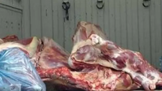 Kayseri'de 2 ton kaçak et yakalandı