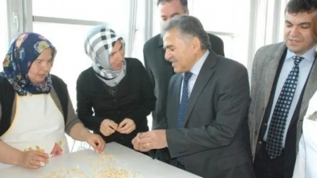 Sertifikalı Mantı, Yağlama Ve Nevzine Ustaları 