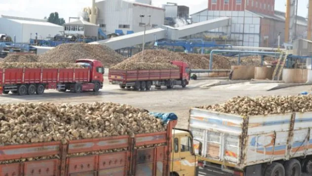 Kayseri Şeker'den çiftçisine 55 milyon söküm avansı