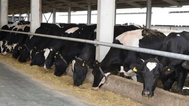 Kayseri Şeker'den ve ERÜ'den ortak proje