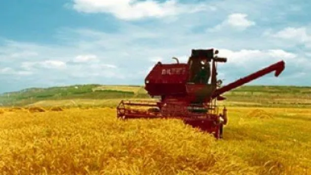 KAYSERİ'DE HER YIL 600 BİN DEKAR TARIM ARAZASİSİ YOK OLUYOR