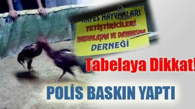 Kayseri'de Horoz Dövüştürenlere Baskın