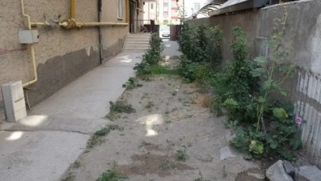 Küçük Çocuğun Mucize Kurtuluşu 