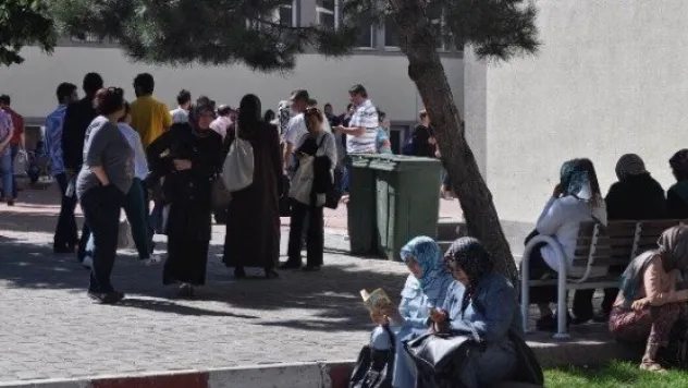 Kayseri'de Lys Heyecanı 