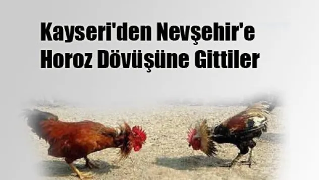 Kayseri'den Nevşehir'e Horoz Dövüşüne Gittiler