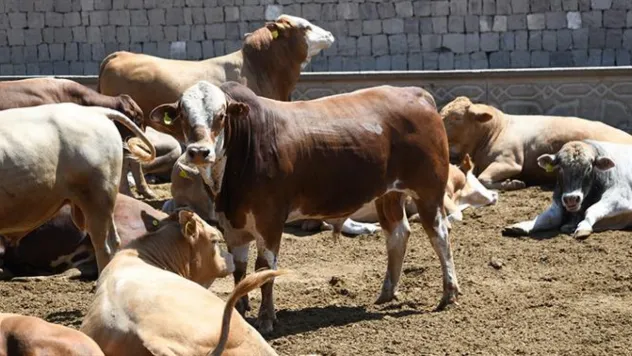 Kayserili besicilerin su faturalarında yüzde 50 indirim