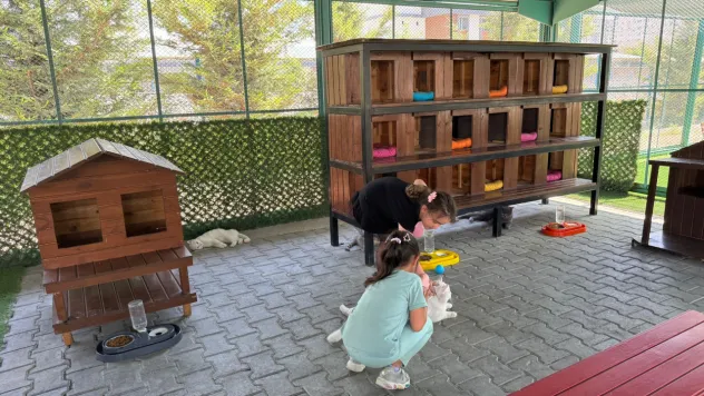 Kedi Kasabası'nda yaz tatili hareketliliği