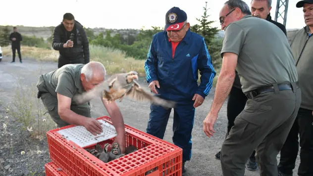 Kene'ye Karşı Mücadele: Yüzlerce Keklik Doğaya Salındı