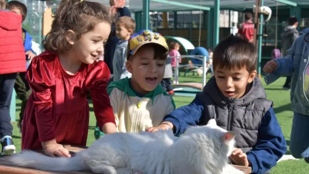 Kocasinan'da sokak hayvanları için yeni yaşam alanları planlanıyor