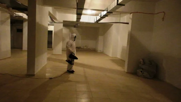 Haşerelerle yılın 12 ayında kesintisiz mücadele