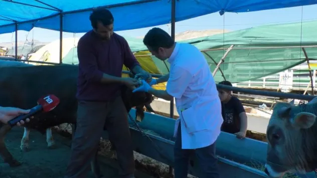 Kurban Pazarında ücretsiz kurban kontrolü yapılacak