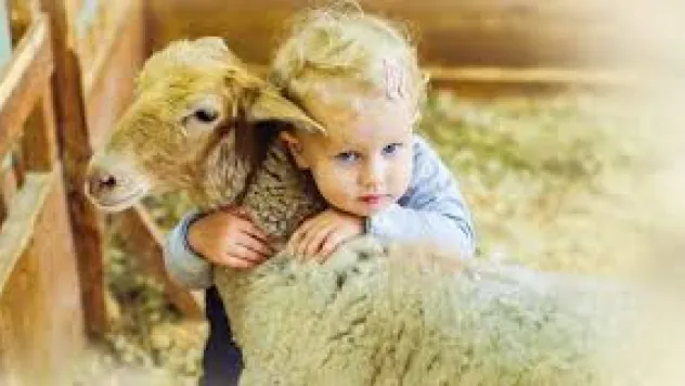 'Kurbanı çocukların önünde kesmek travmatik etki bırakabilir'