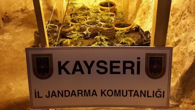 Mağarada kenevir üretimine jandarma baskını
