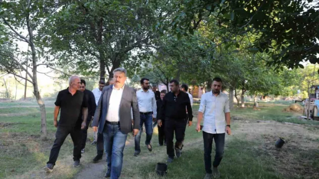 Melikgazi'den sokak hayvanlarına destek