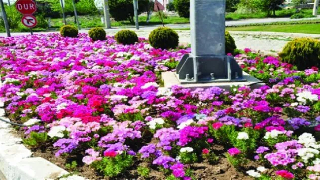 MELİKGAZİ ÇİÇEK AÇACAK