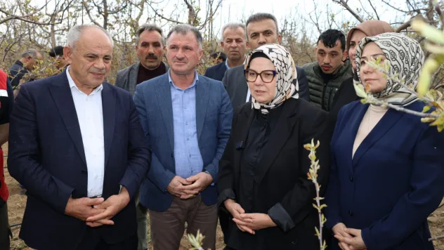 Milletvekili Ayşe Böhürler 'Yahyalı'da elma üreticilerimizin gönlü rahat olsun. Gereği Yapılacak'