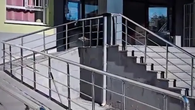 Minik Emre'nin ihtiyacı Kaymakam Erdoğan Turan Ermiş tarafından karşılandı