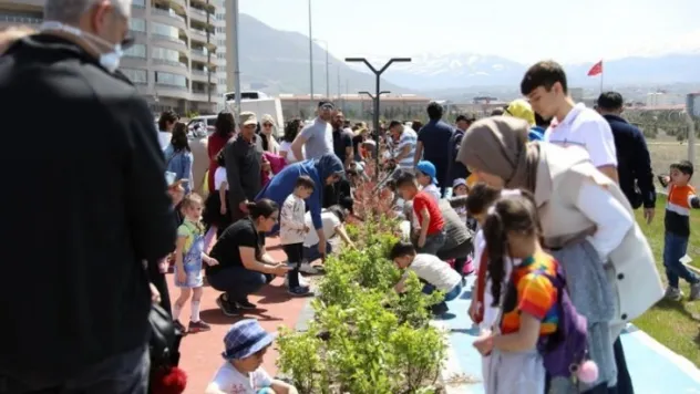 Minikler kendi elleriyle bitki dikti