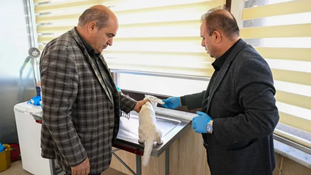 Müdür Saklav, evcil hayvanlarda kimliklendirme ve aşı süreçlerini inceledi