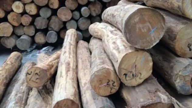 Odun-Kömür fiyatları yüzde 100 arttı