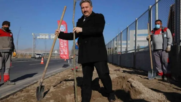 Melikgazi'deki ağaçlara künye çıkarılacak