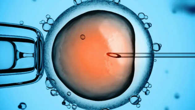 'Piezo Tüp Bebek yöntemi ile artık umutsuzluk giderek azalıyor'