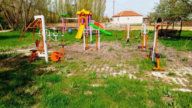 Pınarbaşı'nda başıboş köpekler toplanacak