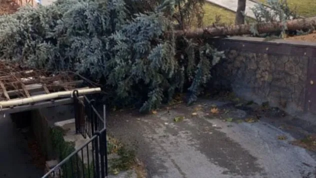 Saatteki hızı 100 kilometreyi bulan fırtına Kayseri'yi etkisi altına aldı