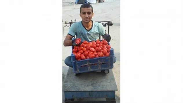 SALÇALIK DOMATESLER CEP YAKIYOR