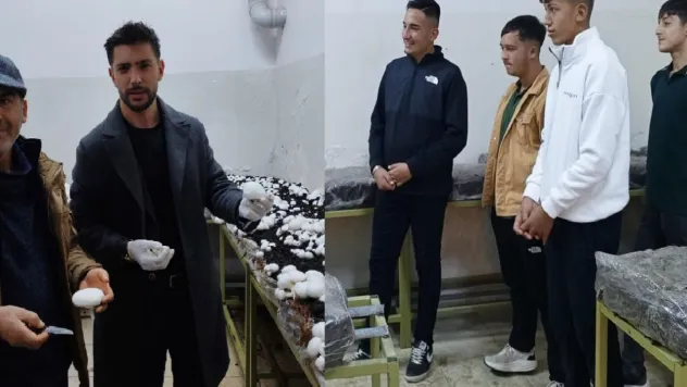 Sarız'da tarım öğrencileri mantar üretti
